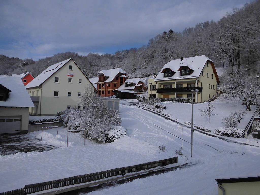 Ferienhaus Kiesel Daire Bad Bocklet Dış mekan fotoğraf